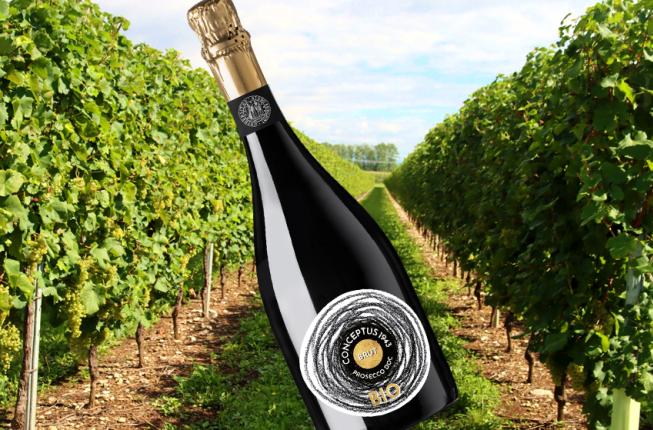 Collegamento a CONCEPTUS 1943